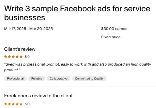 Facebook Ads Copywriting — Upwork review screenshot